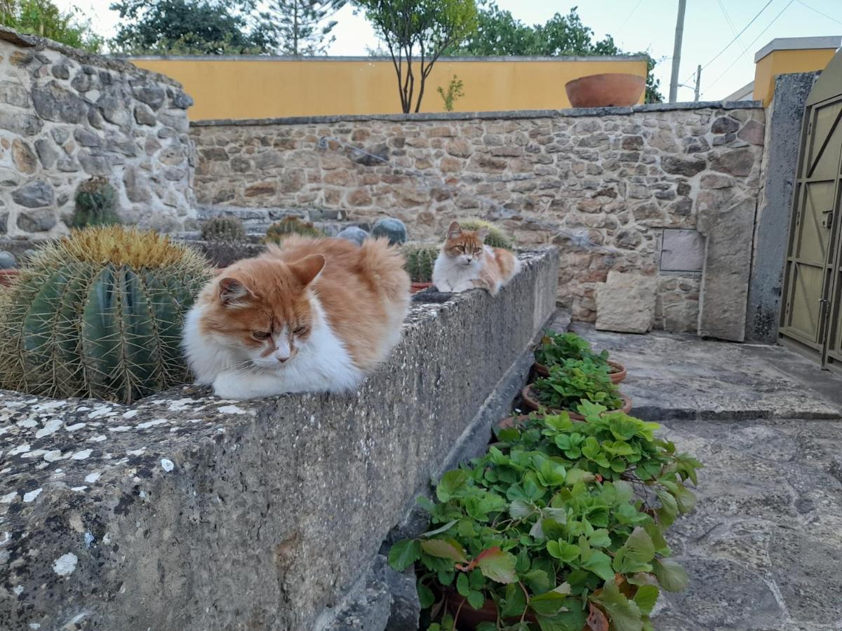 Appartamento Casarao Do Largo Da Eira Tomar Esterno foto